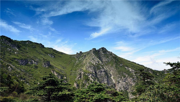 微信图片_20200219114710.jpg